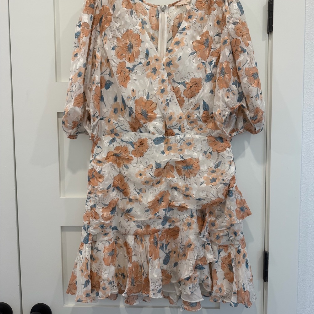 Floral Ruffle Dress NWT Sz 16